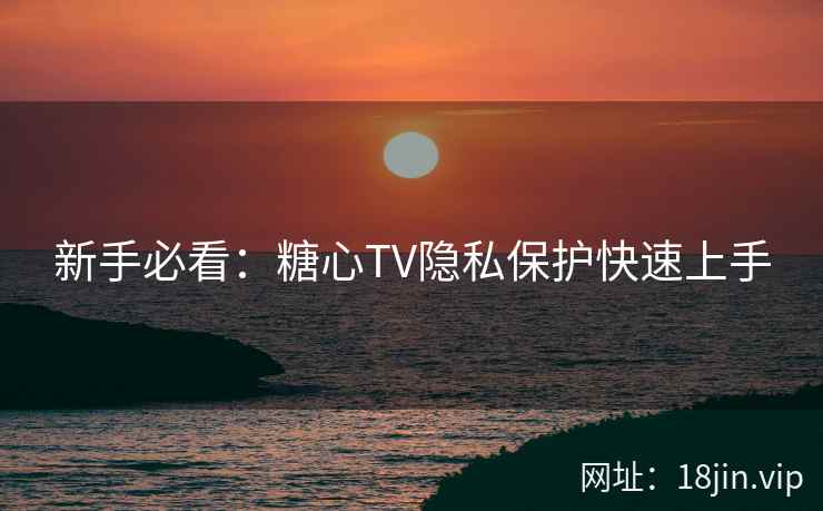 新手必看：糖心TV隐私保护快速上手  第1张