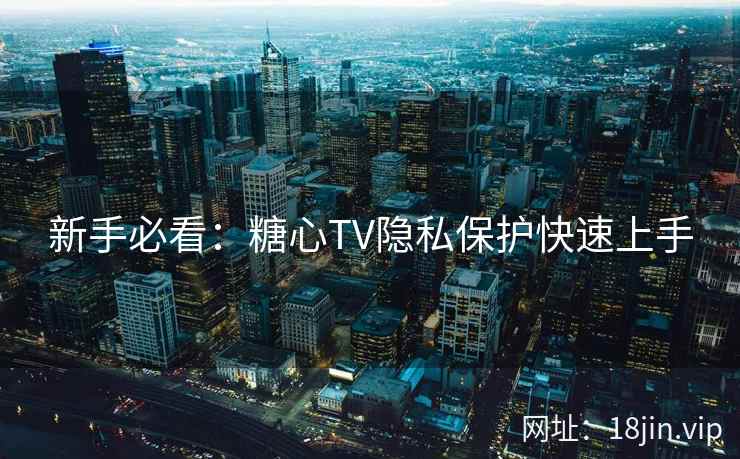 新手必看：糖心TV隐私保护快速上手  第2张