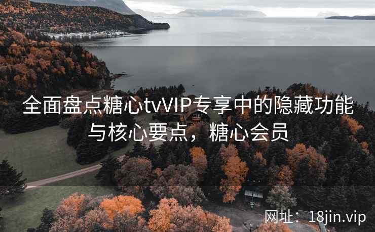 全面盘点糖心tvVIP专享中的隐藏功能与核心要点，糖心会员  第2张