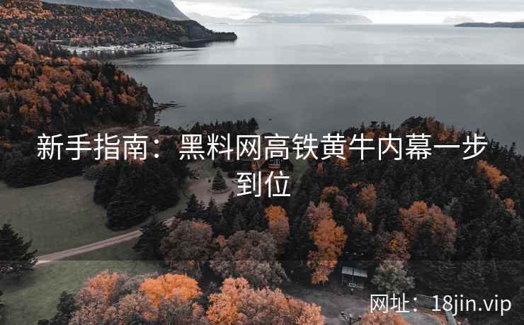 新手指南：黑料网高铁黄牛内幕一步到位