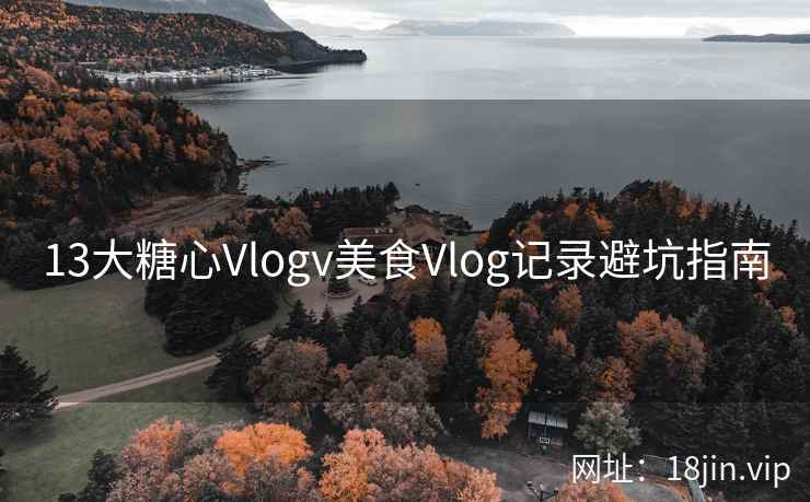 13大糖心Vlogv美食Vlog记录避坑指南  第2张