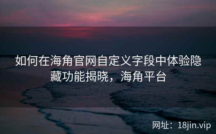 如何在海角官网自定义字段中体验隐藏功能揭晓，海角平台