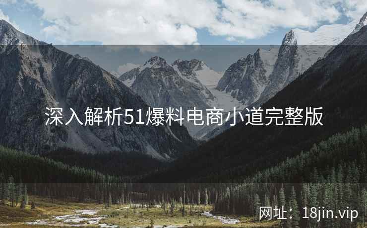 深入解析51爆料电商小道完整版
