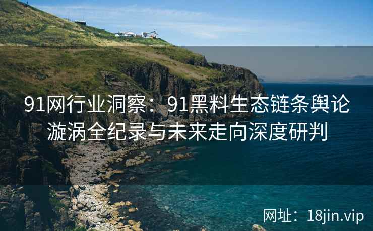 91网行业洞察：91黑料生态链条舆论漩涡全纪录与未来走向深度研判