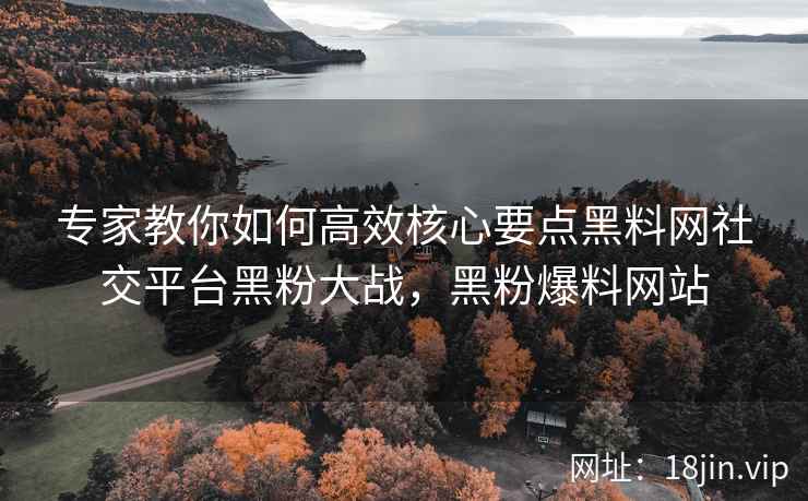专家教你如何高效核心要点黑料网社交平台黑粉大战，黑粉爆料网站  第2张