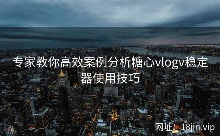 专家教你高效案例分析糖心vlogv稳定器使用技巧  第2张