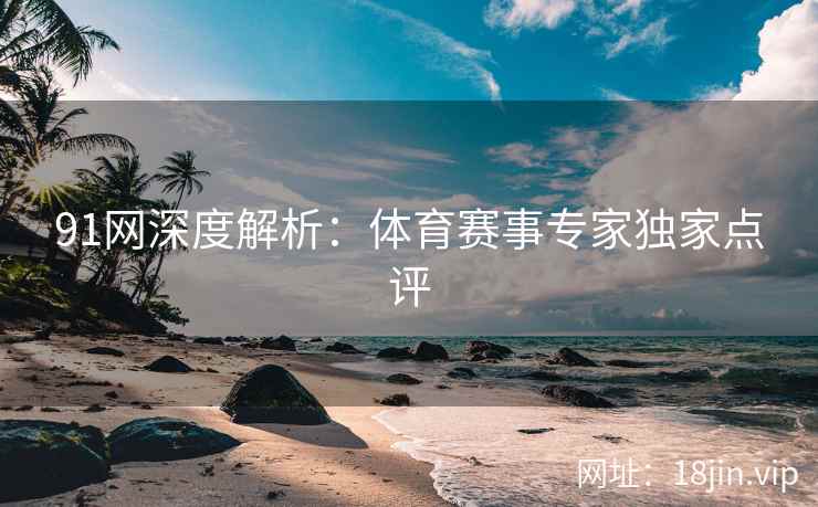 91网深度解析：体育赛事专家独家点评