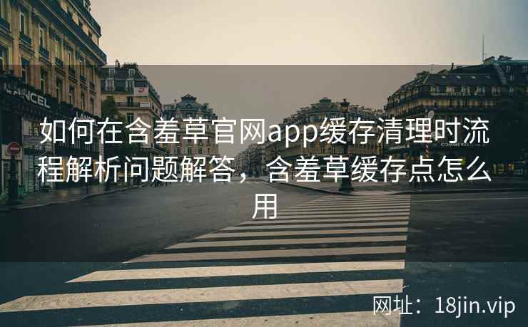 如何在含羞草官网app缓存清理时流程解析问题解答，含羞草缓存点怎么用